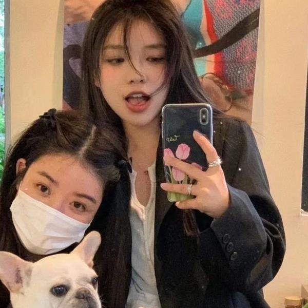 花花草草寻亲记